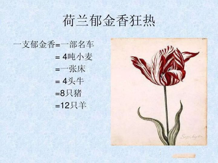 比特币就是郁金香泡沫吗？大神有话说