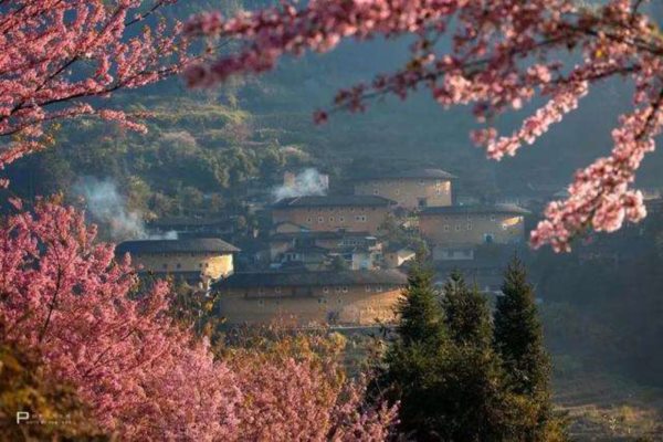 数字藏品火出圈 年轻人如何接招数字藏品