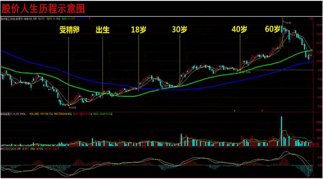股票投资绝不是追涨杀跌，而是顺势而为
