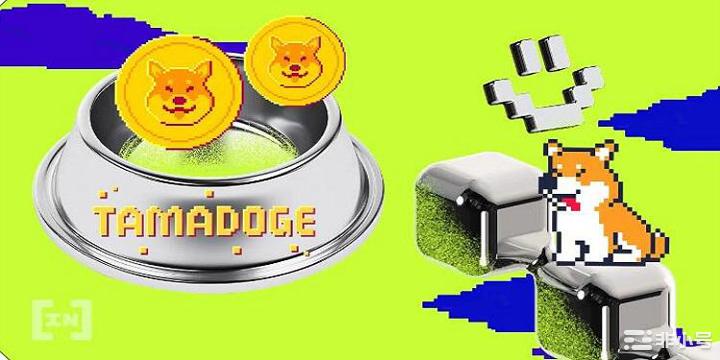 即将上线OK的Tamadoge是什么？值得我们埋伏吗？Tamadoge在8周的预售中重新筹集了
