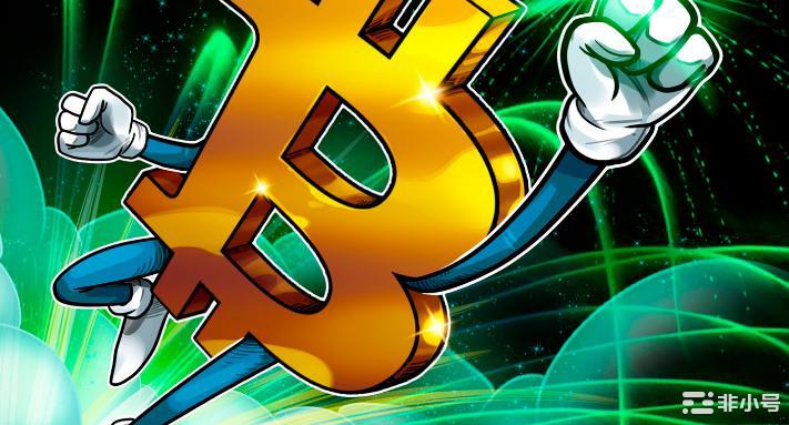 比特币链上数据和 BTC 最近的价格上涨表明生态系统更健康