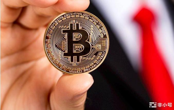 值得关注的5种山寨币