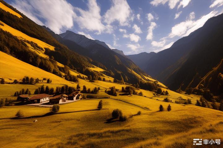 LTC 庆祝关键里程碑，但这是否足以恢复看涨信心