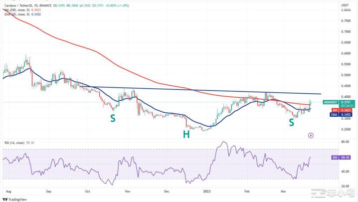 比特币正处于熊市末尾这些山寨币要上涨?