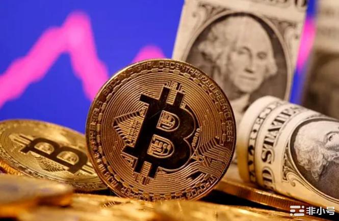 什么是加密货币和股票的基本面分析?