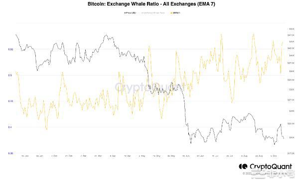 随着BTC跌破2万美元比特币鲸鱼的抛售压力继续存在