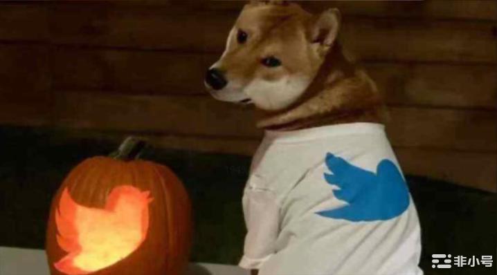 马斯克成功收购推特数字资产提前入春？