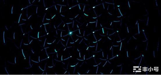 美监管叫停BUSD!是时候了解一下几个新DeFi稳定币了