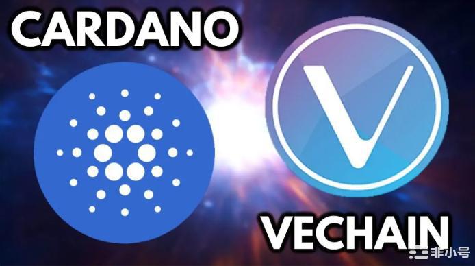 为什么今天VeChain卡尔达诺和Hex上涨了两位数?
