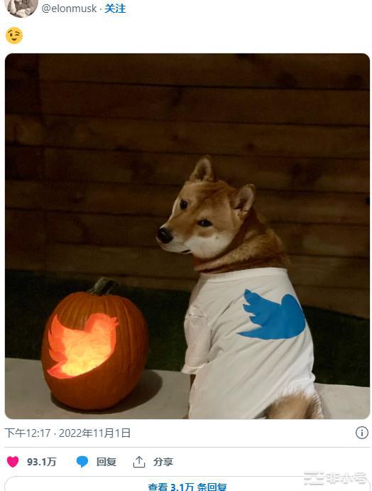 这个沉睡的巨型Memecoin能超越狗狗币和柴犬吗?