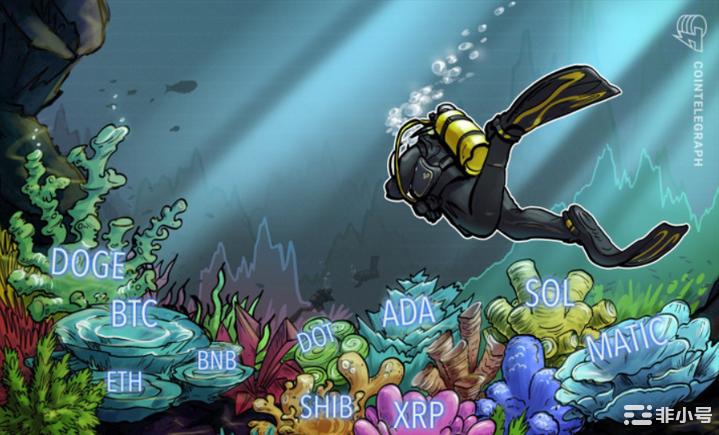 价格分析:BTCBNBXRPDOGEMATIC