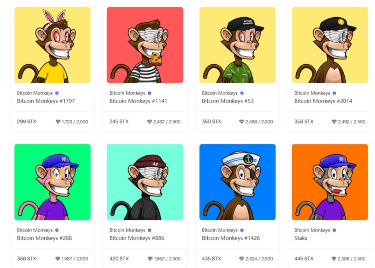 veDAO研究院:30个最具潜力的BTCNFT项目梳理