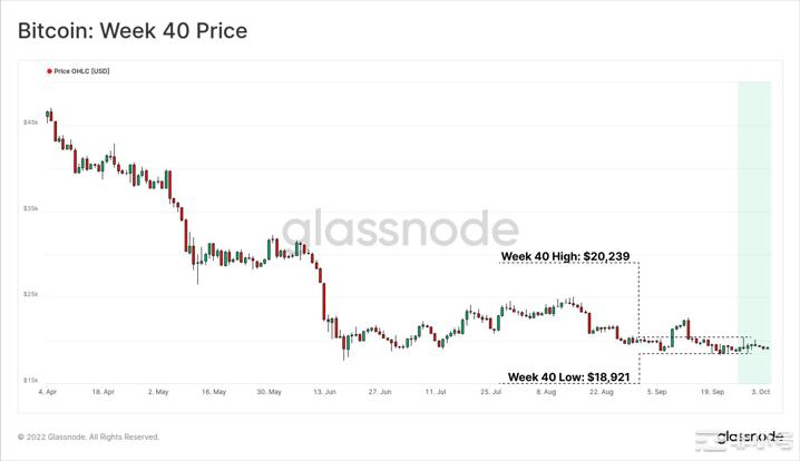BIKA（币咖）行研放大镜：算-力再创新高，或迎来历史反弹