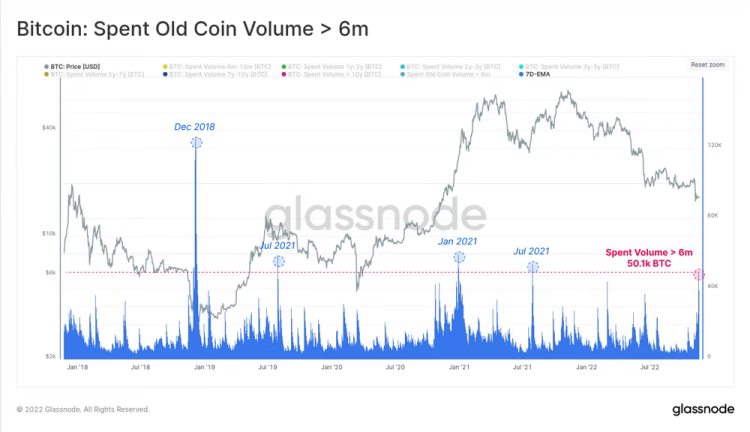 FTX余震对比特币巨鲸和长期持有者冲击几何？