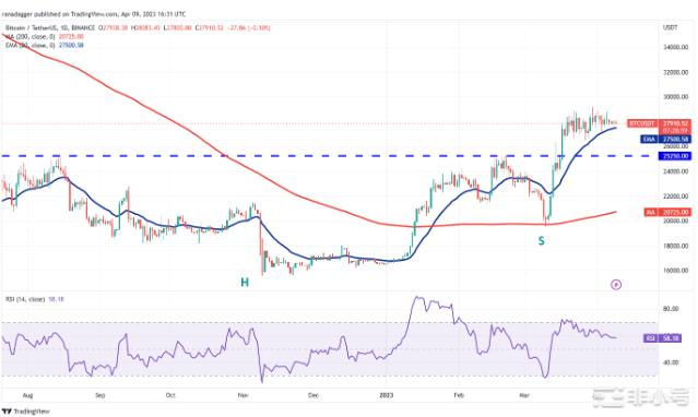 ADAXLMAAVECFX和BTC迎来爆炸性走势?