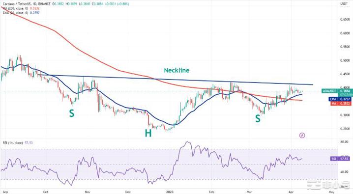 随着这些山寨币转为看涨比特币价格将迎来爆炸性走势