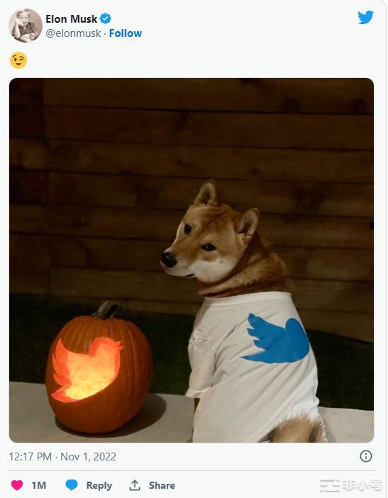 为什么现在做空DOGE是有意义的?