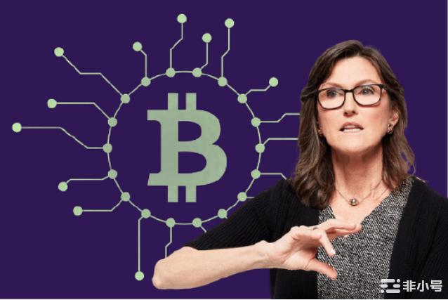 木头姐年度报告：10年内比特币或将突破100万美元