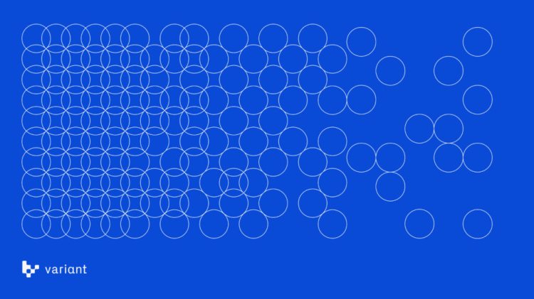 贡献者和律师的Web3指南：充分去中心化