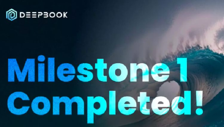 没有空投?可以关注这10个Sui生态新项目