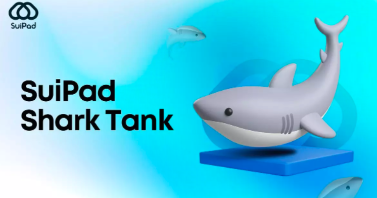 没有空投?可以关注这10个Sui生态新项目