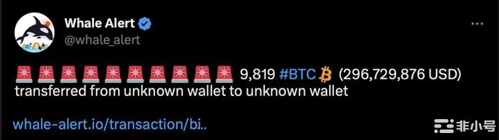 比特币(BTC)的下一条路在何方?鲸鱼警报指向关键数据!