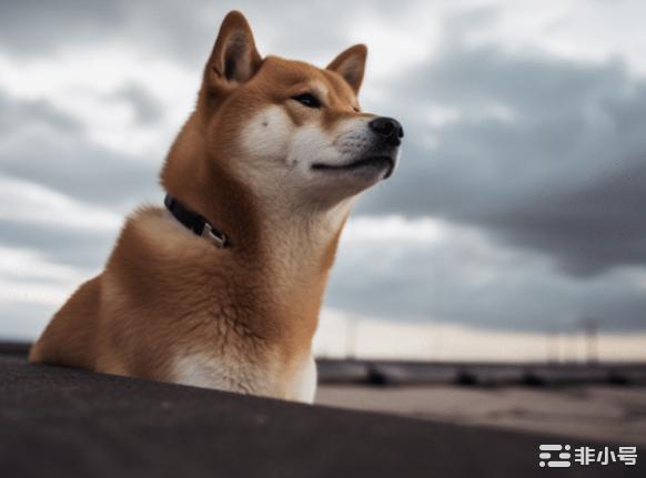 狗狗币在移动平均线下方盘整，突破的机会有多大