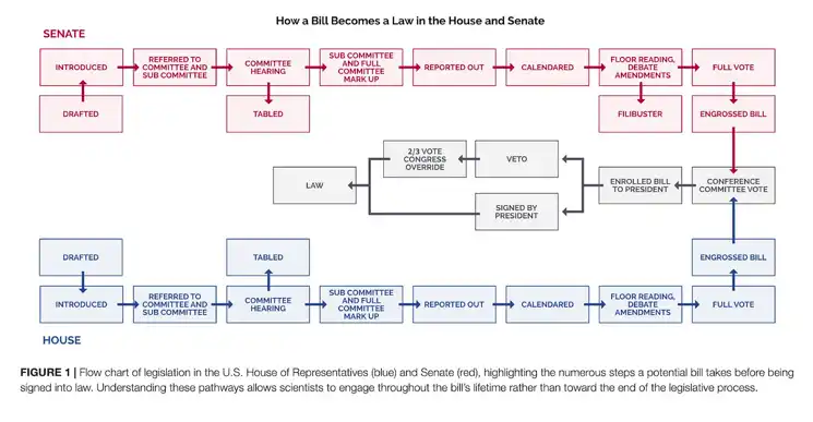 深度探讨Lido治理:权力结构中的相互制衡