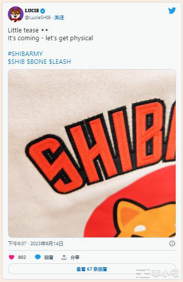 ShibaInu滑出前20名的可能性是多少?