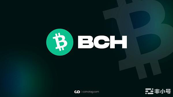 比特币现金一周飙升 100%：揭晓原因