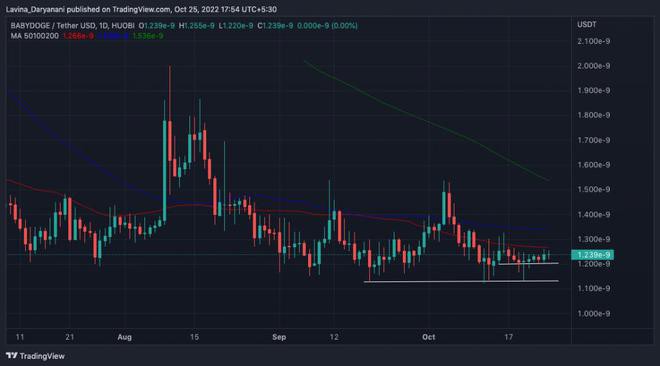 前100名BabyDoge平均余额升至1990亿复苏希望?