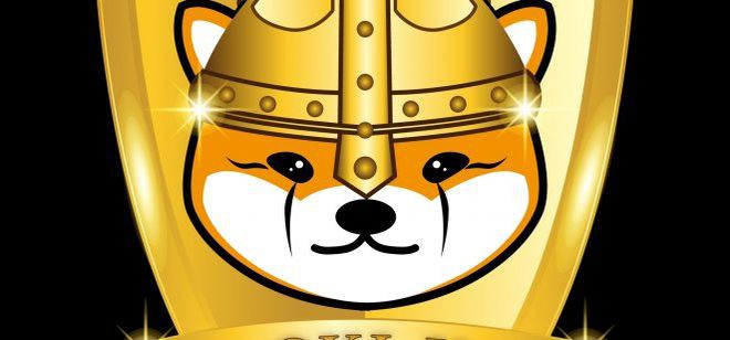 马斯克收购推特之际FLOKI在也上涨了8%;下一步是什么?