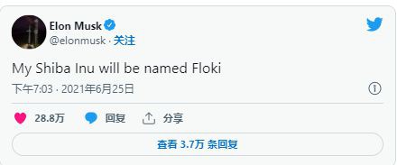 马斯克收购推特之际FLOKI在也上涨了8%;下一步是什么?