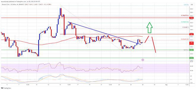 BNB价格盘整于250美元以下:什么可能引发新一轮上涨