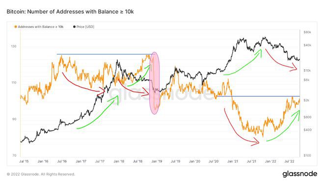 BTC链上分析:创纪录的投资者信心仍可能导致残酷的抛售