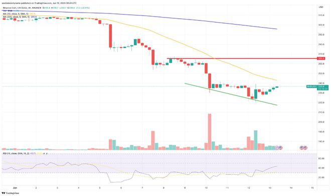 BNB鲸鱼在两年后从200万美元头寸中套现BNB能跌到多低?