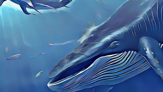 比特币鲸鱼余额创下月度最大跌幅，比特币将面临崩盘风险？