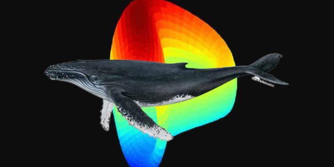 鲸鱼做空CRVAave耗费百万买单？DeFi为啥会产生坏帐