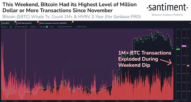 有史以来第一个每周死亡交叉—本周在BTC中需要了解的5件事