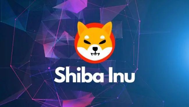 SHIB在红海中上涨2.5%能否在2023年上涨10倍?