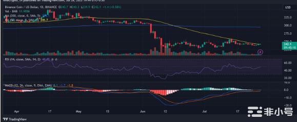 币安的抵制会引发BNB的积极趋势吗?