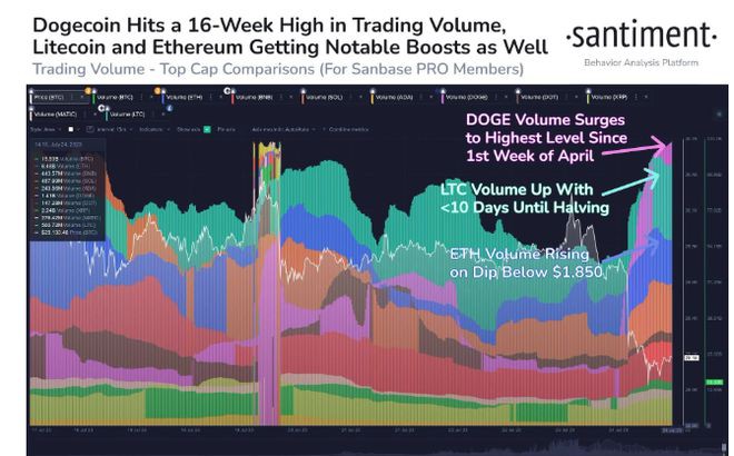 比特币交易量下跌而狗狗币(DOGE)则触及16周新高
