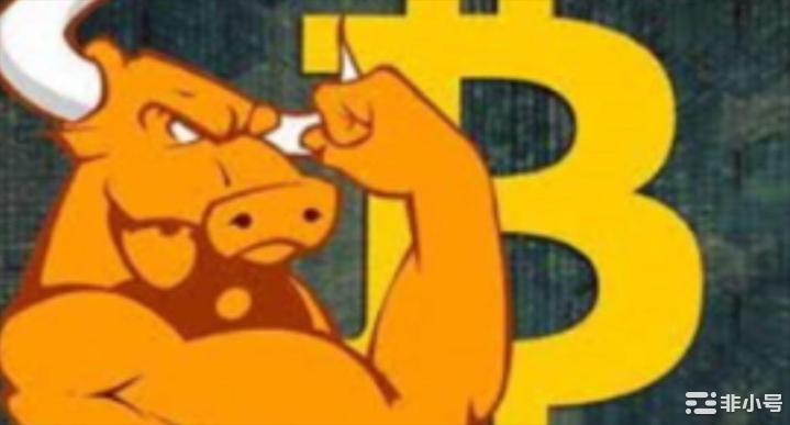 BTC在上涨过程中需要关注的指标下一个反弹行情买哪些?