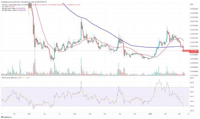 SHIB在24小时内成为交易量最大的20种代币—暴涨来了吗?