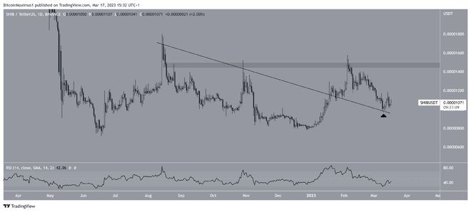 柴犬(SHIB)价格准备好反弹至新高了吗？