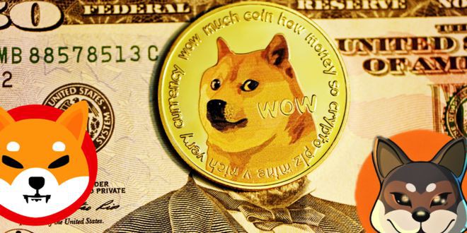 迷因币(DOGESHIB)会是2023年的最佳标的吗?