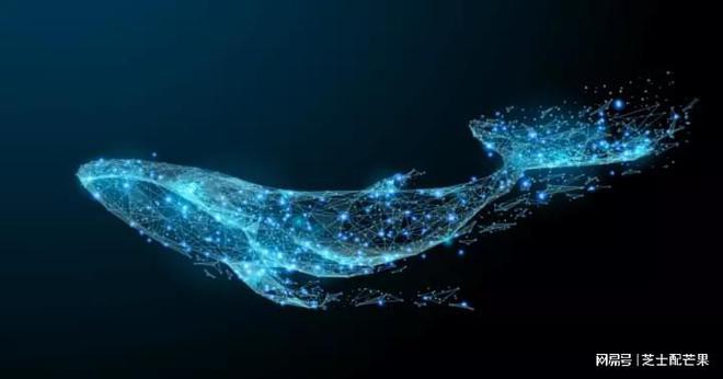 鲸鱼在治疗市场中移动 578M+ XRP