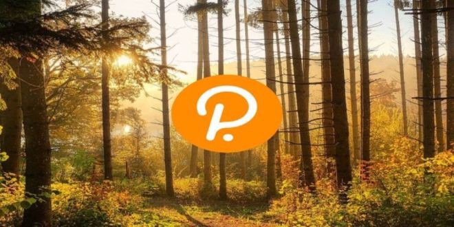 Polkadot:由于空头接管DOT跌至6.15美元