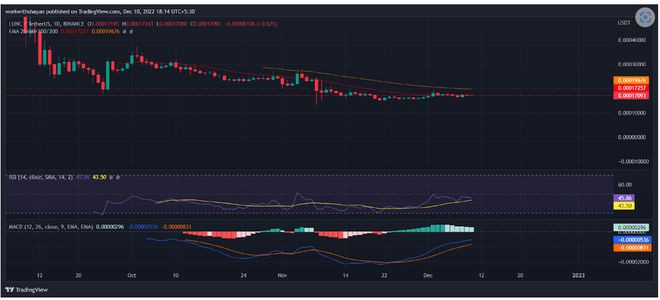LUNC是一项好的投资吗?