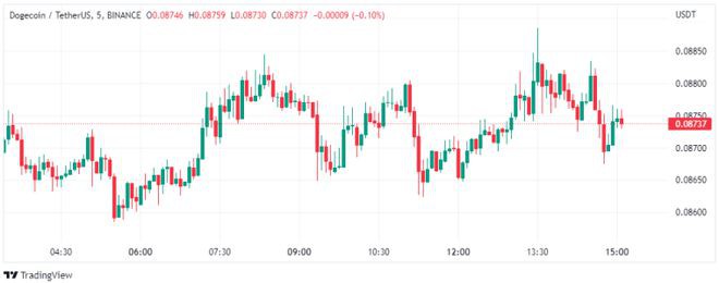 狗狗币的价格能在马斯克的手下达到1美元嘛?